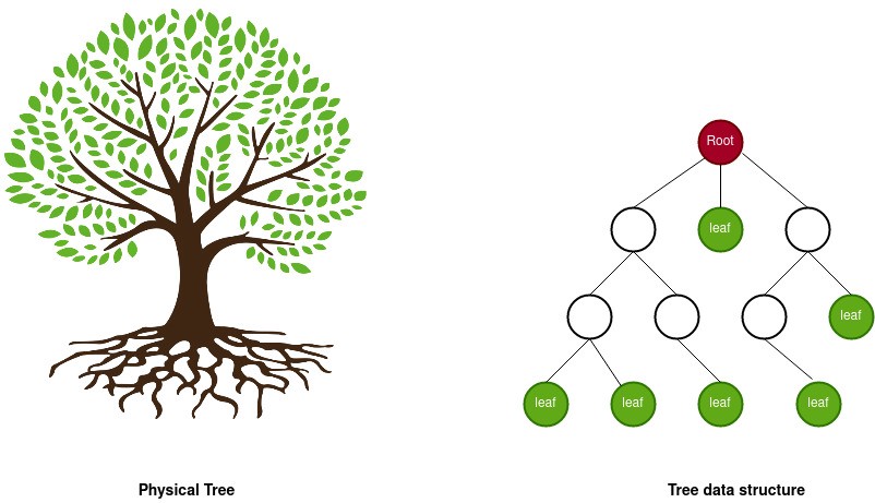 Merkle Tree: A Beginners Guide