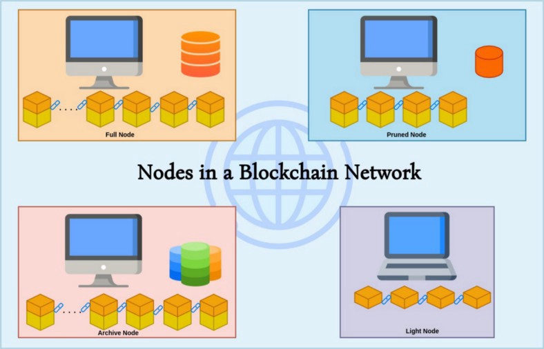 Blockchain Nodes & Their Trades | Kerala Blockchain Academy